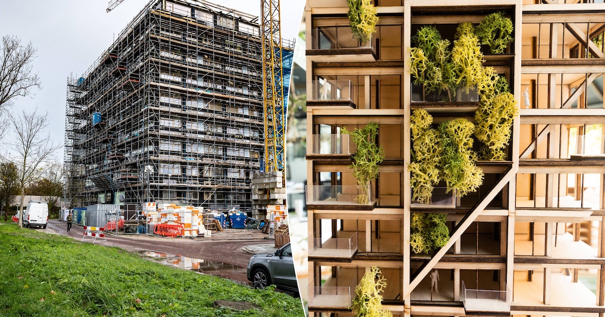 Urban Woods, een bijzondere houten toren in Delft: ‘Niet alleen meer de geitenwollensokkentypes will