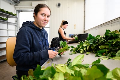 Meerderheid Nederlanders wil rem op instroom arbeidsmigrante
