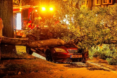 Grote tak valt op geparkeerde auto in Enschede