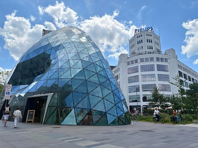 Image related to the article