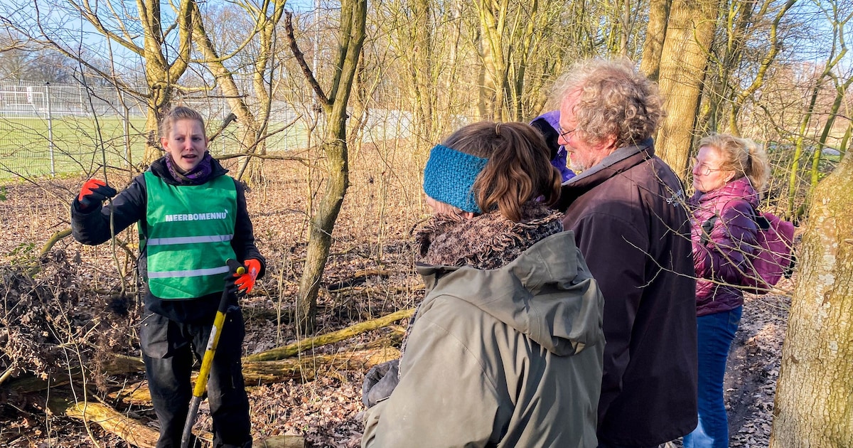 Honderden jonge bomen krijgen nieuwe kans op bedrijventerreinen in Leeuwarden