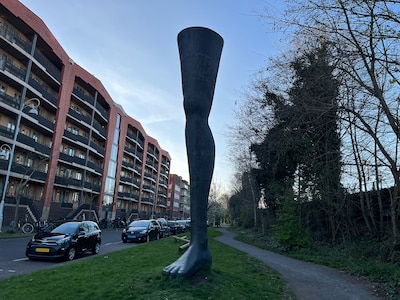 Mysterie: waarom staat hier in Oost een gigantisch standbeeld van een been?
