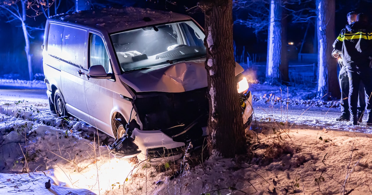 Bestelbusje botst op boom in Feankleaster
