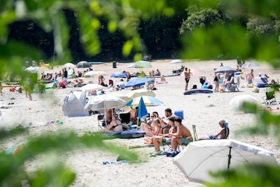 Antwerpenaren komen massaal naar de Galderse Meren: ‘De belangrijkste reden? Het is hier gratis’