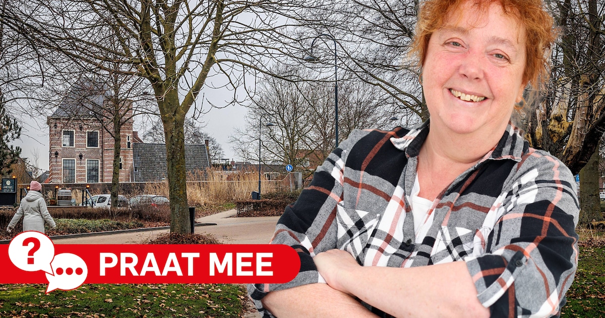 Gorinchem moet veel groener vindt het stadsbestuur, maar waar wil jij die bomen planten?