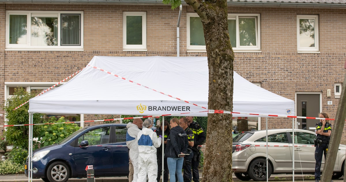 Zijn dna zat onder haar nagels, maar verdachte ontkent het 78-jarige slachtoffer te hebben vermoord