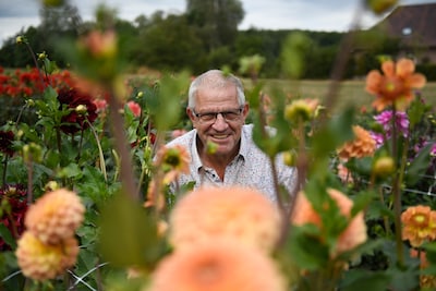 Image related to the article