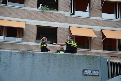 Grote zoekactie na politieachtervolging in Den Bosch