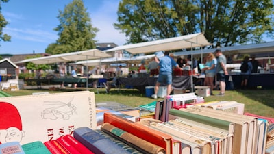 Internationale boekenmarkt komt naar Koppelkerk in Bredevoort