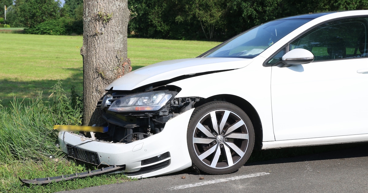 Automobilist komt tegen boom tot stilstand langs N353 bij Zandhuizen