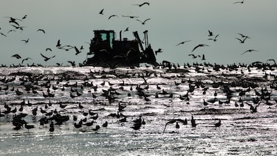 Documentaire over Waddengebied in Wijchen
