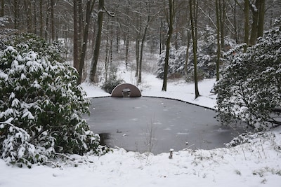 Wandeling door oorsprong en Zilverberg in Oosterbeek