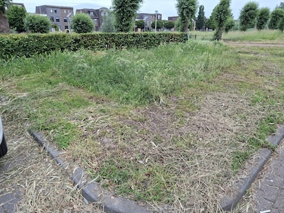 Groenbedrijf botst hard met gemeente Etten-Leur: ‘Zelfs een weggewaaide grasspriet werd gefotografee