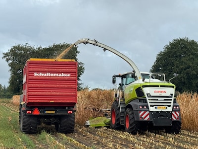 In Holten gaat de mais al van het land: ‘Laat je het staan, dan gaat het straks kapot’