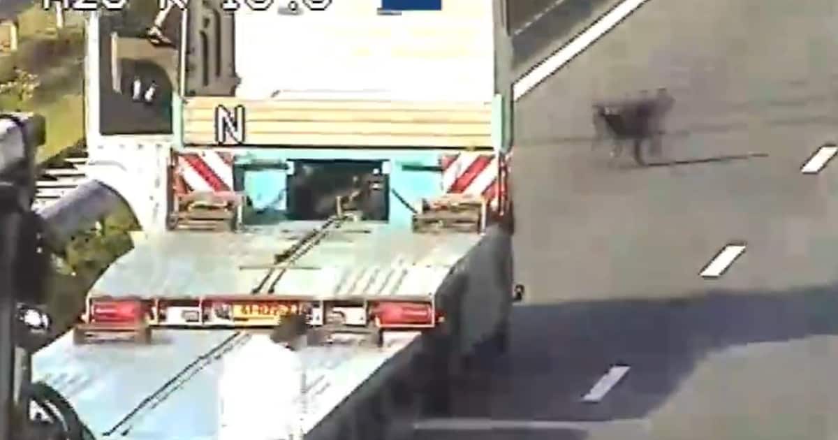 Hond kuiert over snelweg en legt verkeer in beide richtingen op A28 bij Soesterberg stil