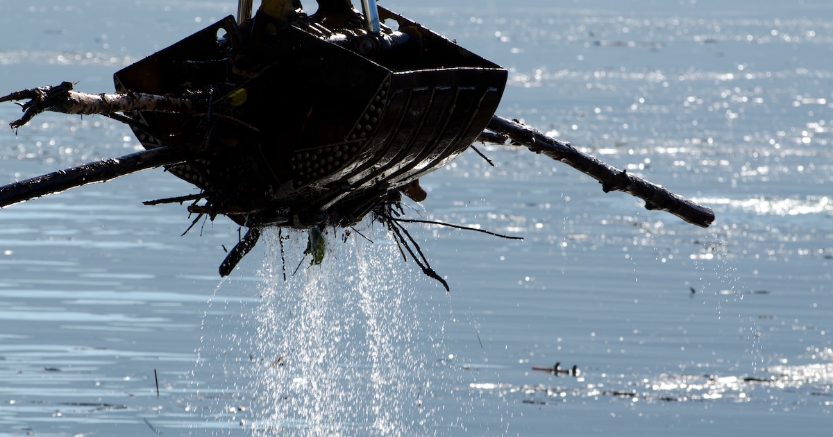 Laatste vijver in Enschede aan de beurt voor baggerwerk