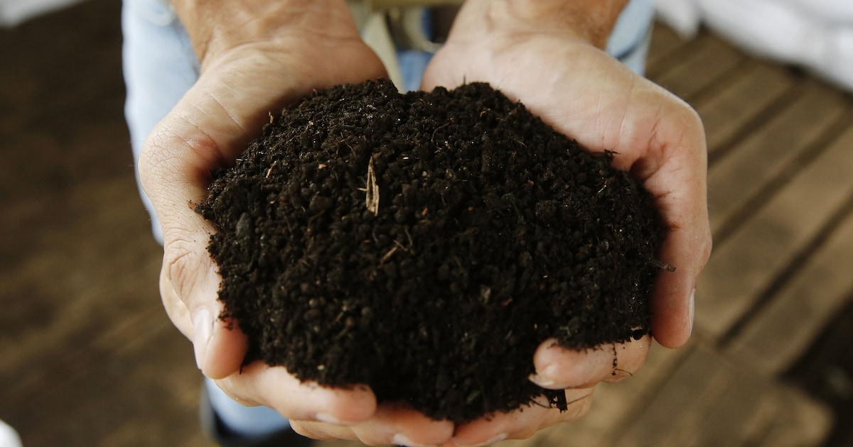 Gemeente Dantumadiel deelt gratis compost uit in Damwâld