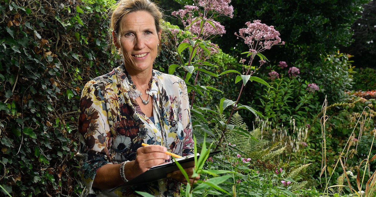 Tuinontwerpster Hélène geeft Amersfoort vorm: ‘Een tuin is nooit af’