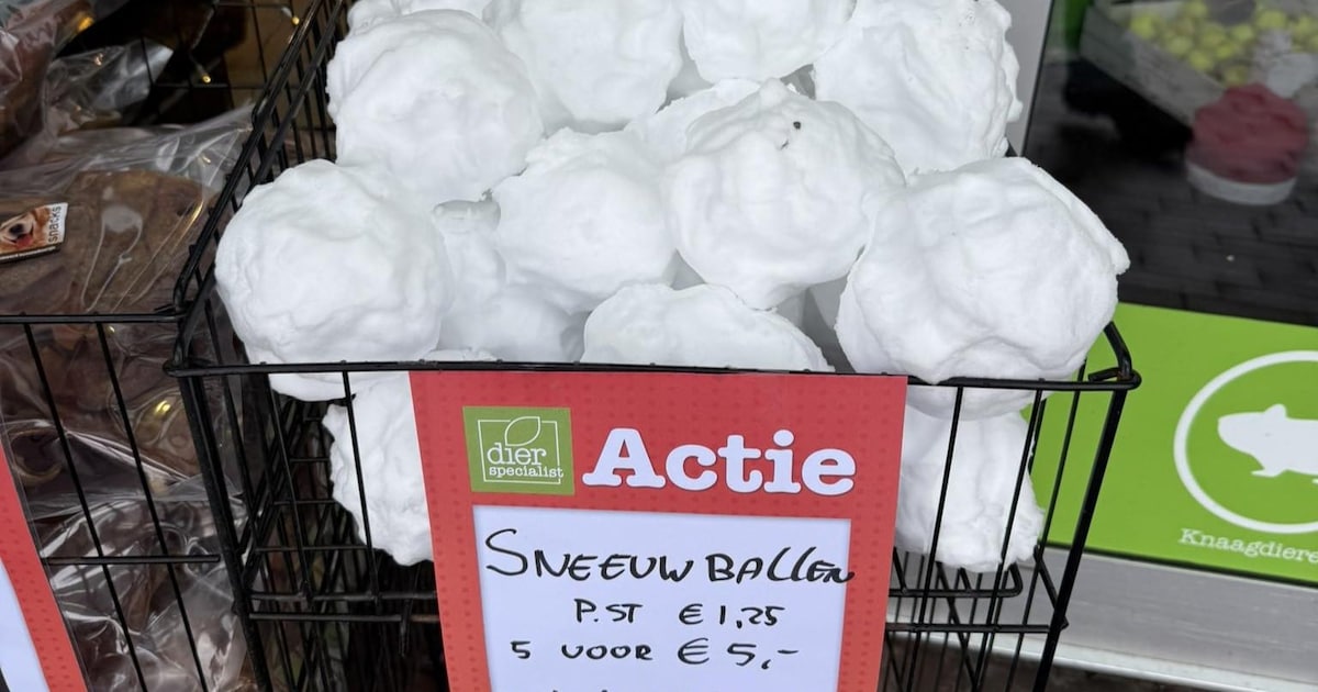 Hilarische actie: hier in Woerden kun je nu sneeuwballen kopen