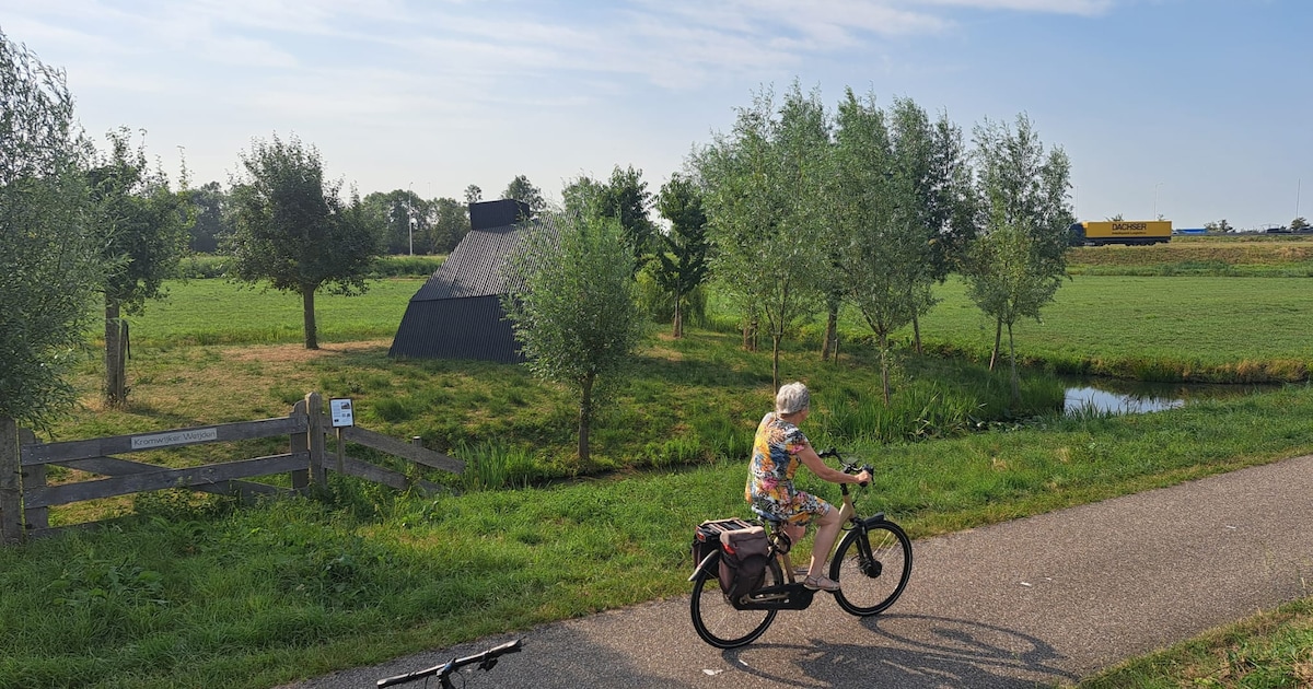 Dit is de betekenis achter het Schotse en ook scheve huisje aan het Kromwijkerpad
