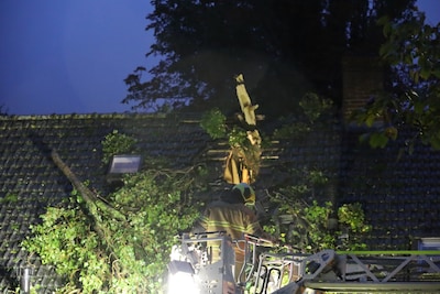 Boom valt door harde wind op woning in Volkel, groot gat in dak: ‘Ik dacht dat het onweer was’