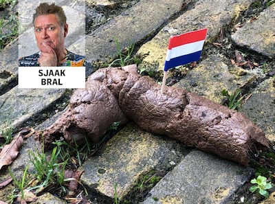 Een groot deel van de hondenbezitters heeft poep - op z’n hoofd