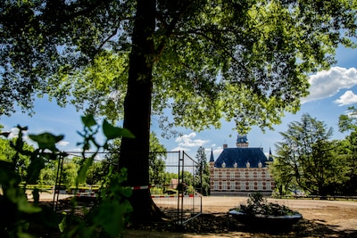 De urgentie is groot: de kasteeltuin moet weer groen worden