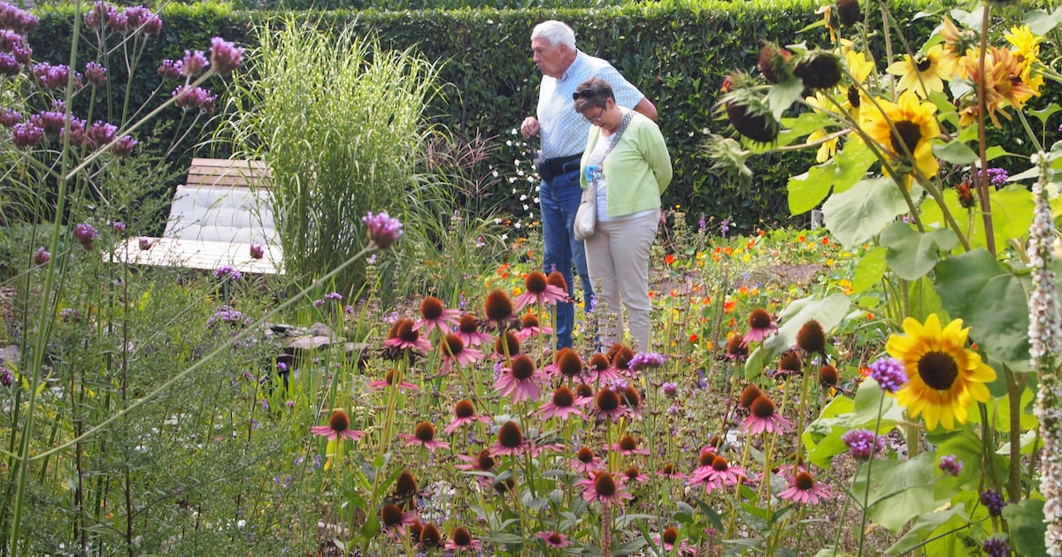 Toffe Tuinen Route in Tilburg start in juni met groene en creatieve tuinen