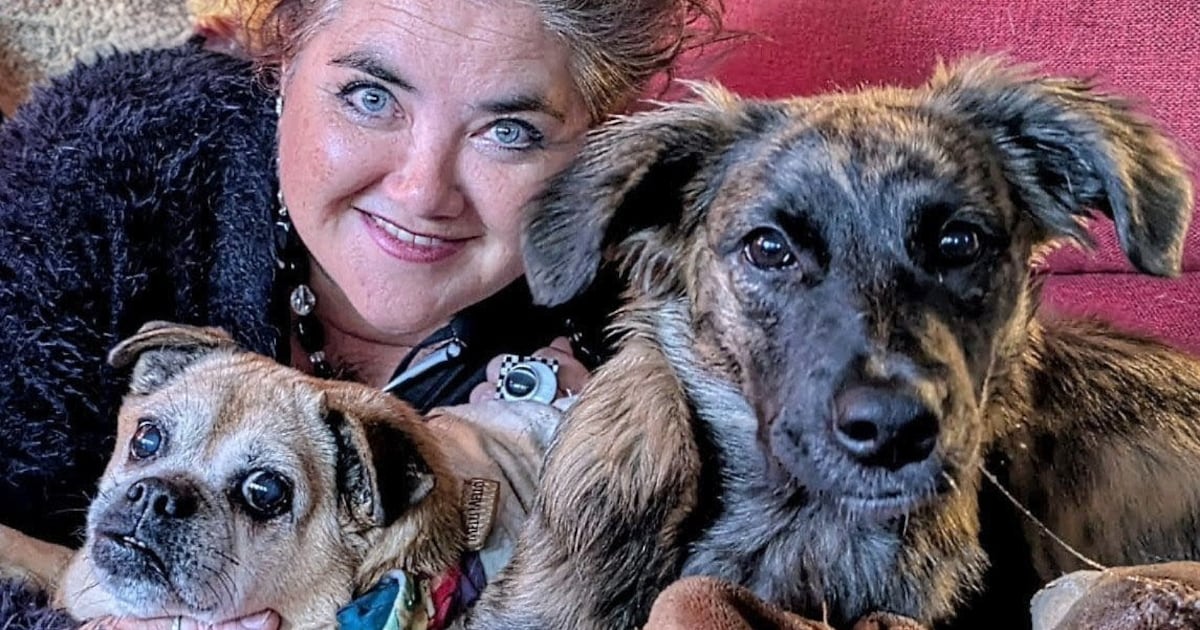 Baasjes blijven in onzekerheid na dood vier honden: onderzoek naar schelpenpad levert niets op