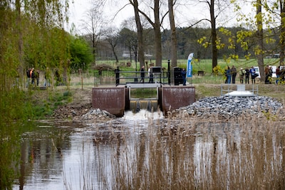 Vissen bij Opwettense Watermolen zwemmen tegen de stroom in en wij kijken mee