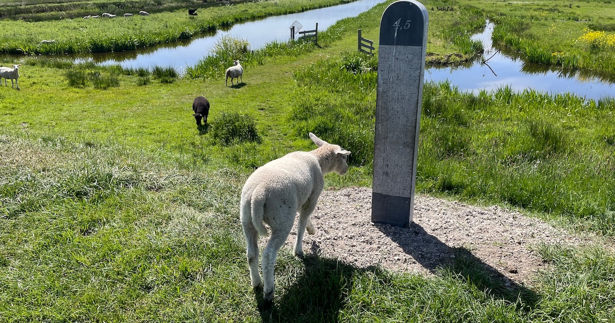 Twaalf nieuwe hoefslagpalen op de Prinsendijk, ook kanosteiger en bankjes geplaatst