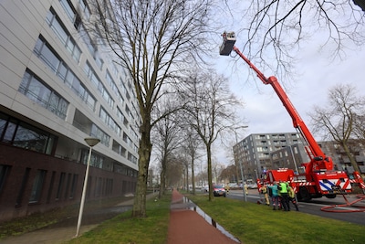 Woningcorporatie mag invalide vrouw niet uit huis zetten na overlast, criminaliteit en brand