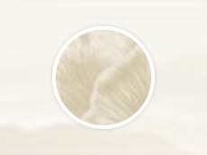 Geertje Koopman – de Jong 