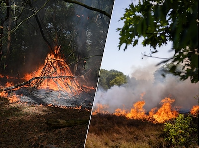 Meerdere branden in bosgebied bij Wijchen, vermoeden van brandstichting