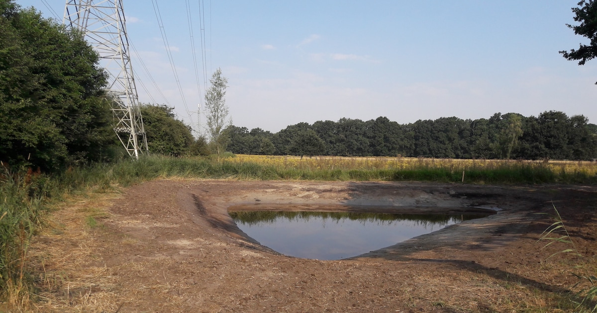 Aanleg amfibieënpoel aan Gutjesweg in Nederweert begint deze maand