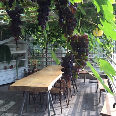 Outing tip: Reading among plants and teacups? At Kas Keerweer you'll spontaneously forget your phone