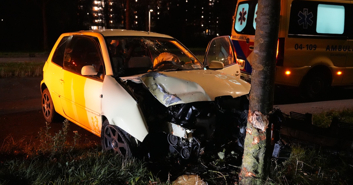 Auto zwaar beschadigd na botsing tegen boom in Zwolle