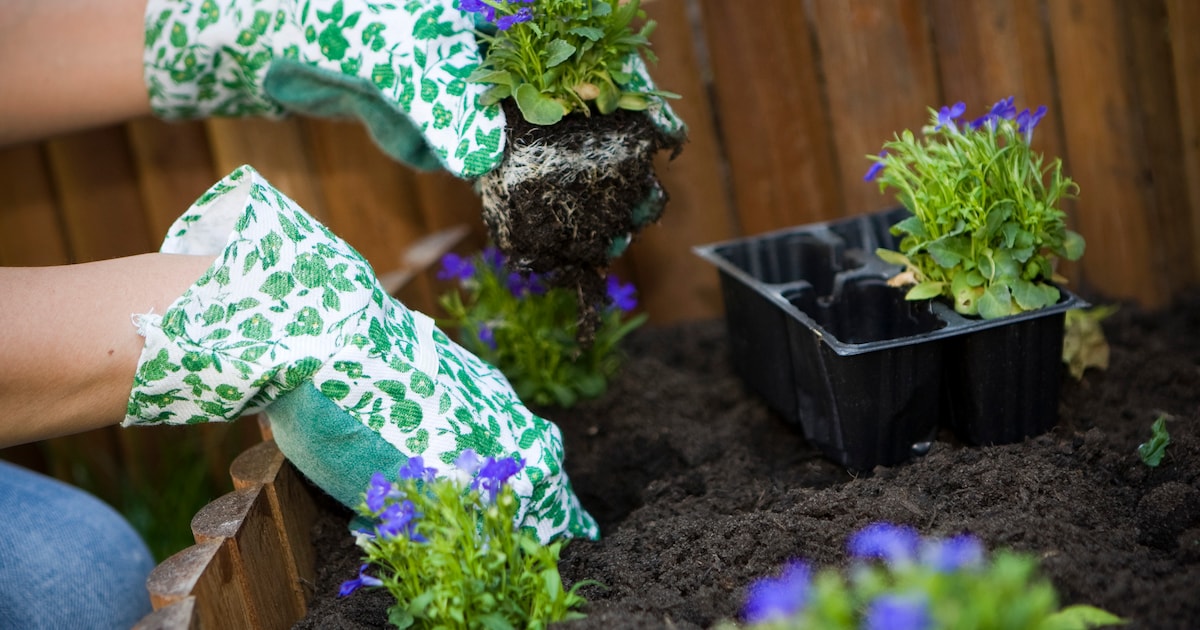 De Spil opent deuren voor ontmoeting en activiteiten in Papendrecht