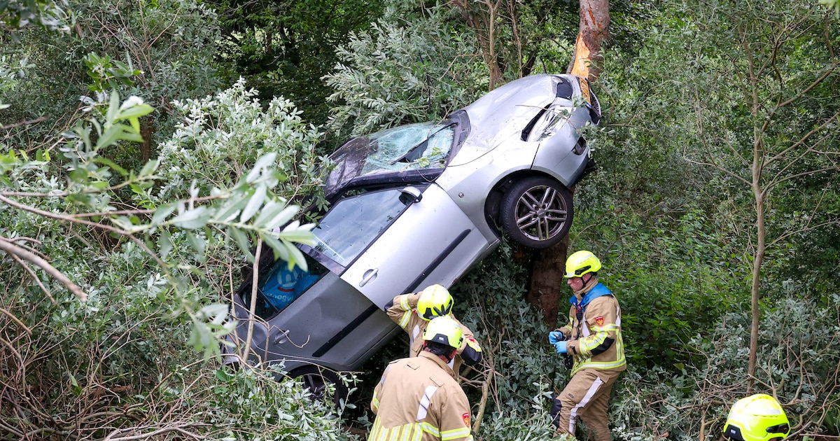 Auto belandt in boom op A1 bij Naarden, bestuurder ongedeerd