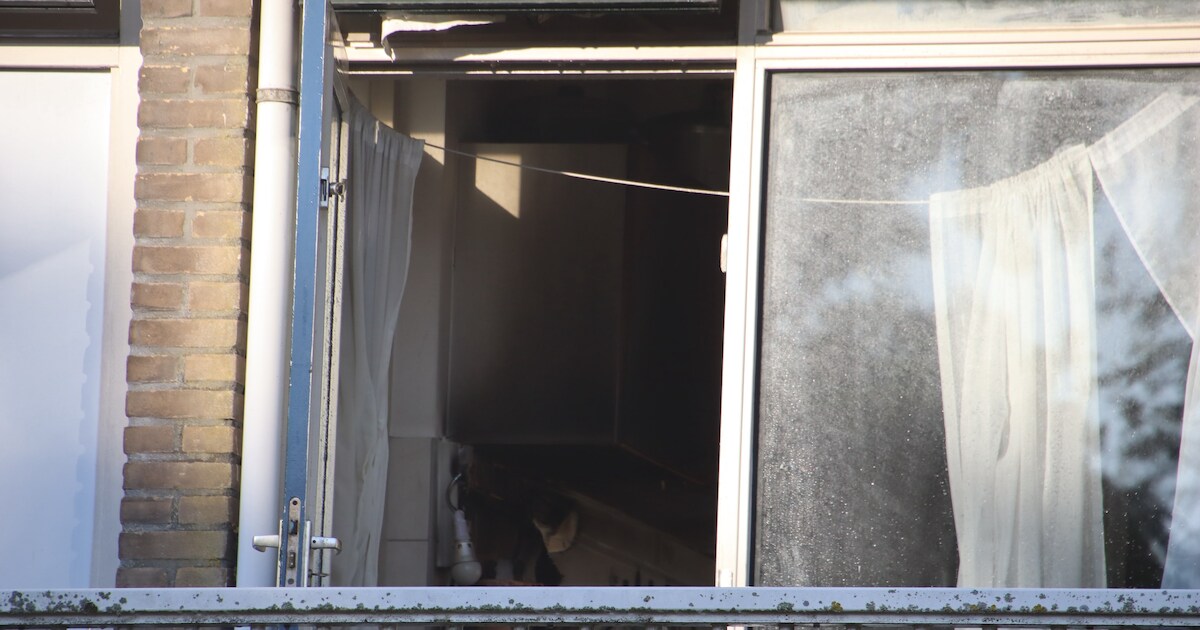 Brand in keuken van appartement op Pieter Janssoonstraat in Den Helder