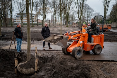 Nieuwe lindes en veel meer: het stervende stadspark van Tilburg geneest