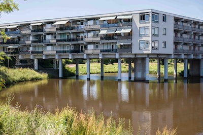 Image related to the article