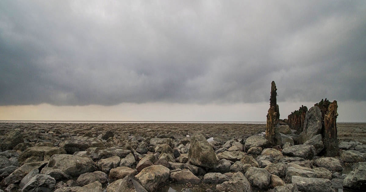 Expositie van fotograaf Bob van Buuren in Douanehuisje in Maassluis