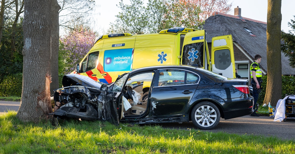 Inzittenden naar ziekenhuis na botsing tegen boom in Lemelerveld, weg dicht
