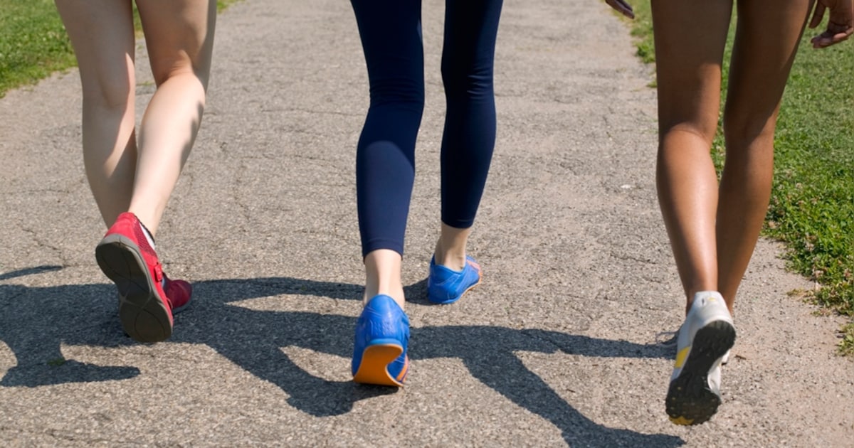 Drie dagen wandelen voor senioren in Wijk bij Duurstede