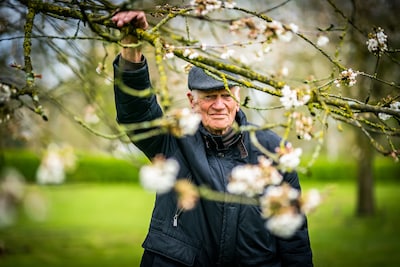 De laatste boom uit 1948 is verdwenen maar daar is Eddy (90) alleen maar blij om
