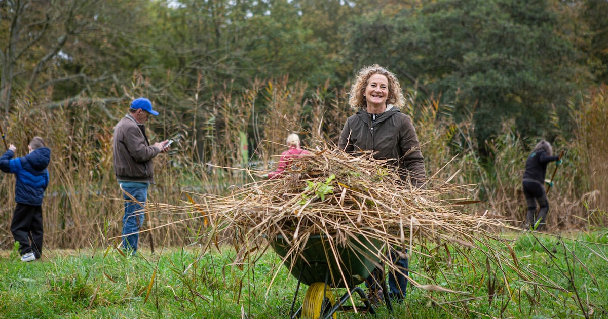 Handjes uit de mouwen: zo help je mee in Hengelo tijdens de Nationale Natuurwerkdagen