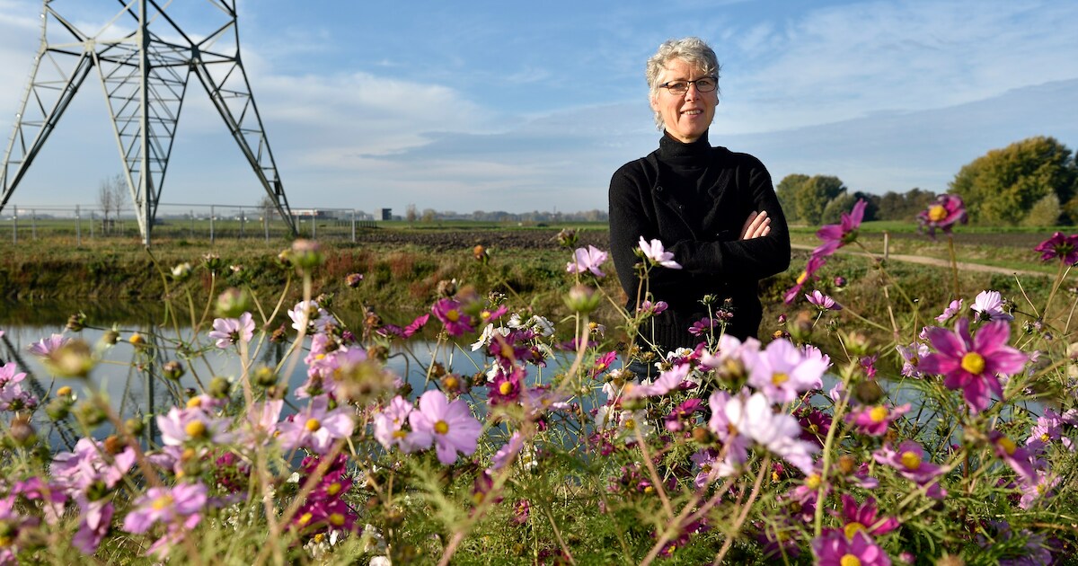 Onderzoekers vinden dat biodiversiteit in Zuidplas veel beter kan, te ...