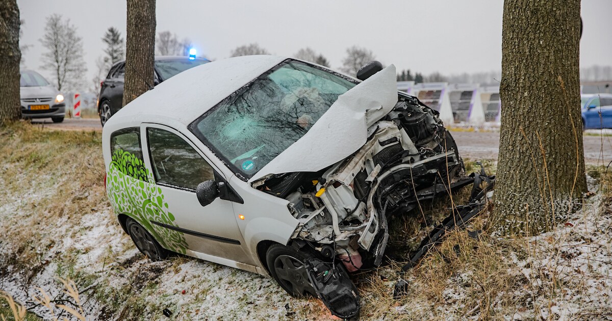 Auto ramt frontaal op boom langs Eideweg in Siddeburen
