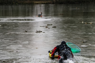 Reddingsactie voor gans die al 48 uur vast zit op dun ijs in Hengelo